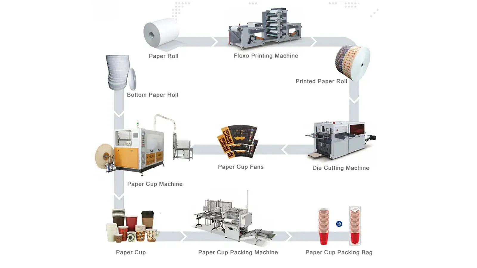 RD-230A High Speed Paper Cup Forming Machine | 220–260 Cups/Min Operation