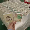 Free sample of paper cup fan