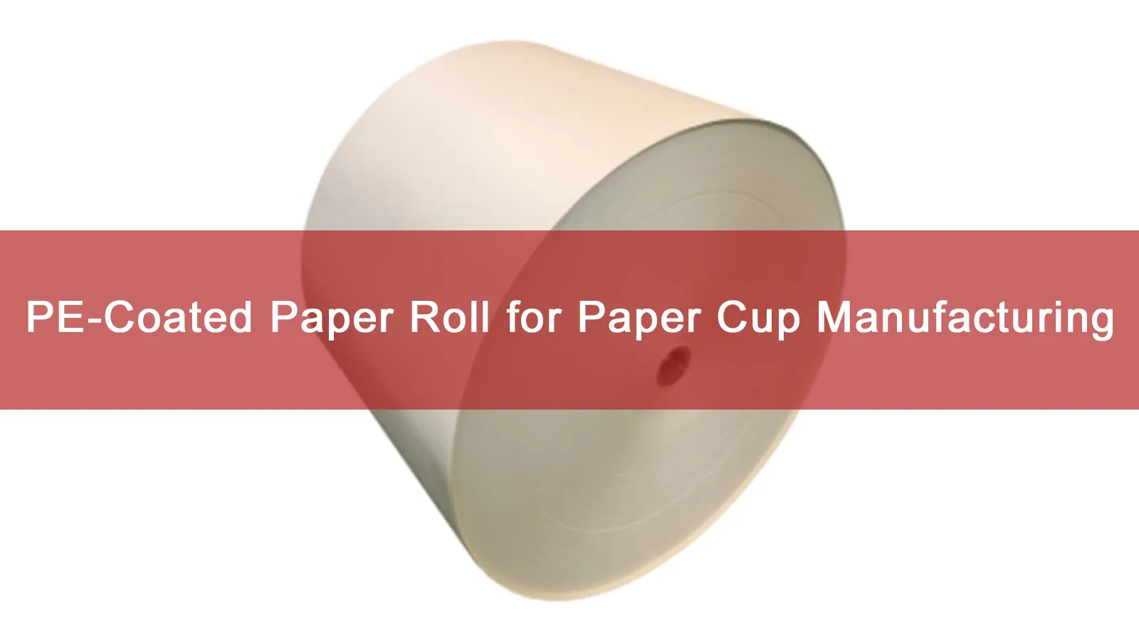 PE-Coated Paper Roll for Paper Cup Production | Food Grade Rollstock Supplier